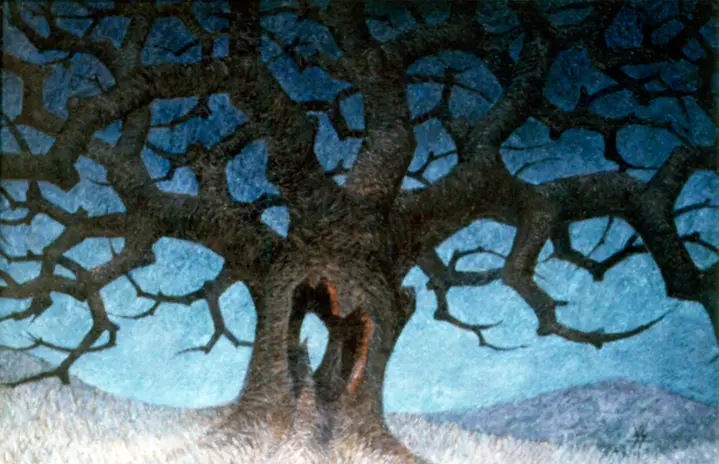 Chêne mort, 1977